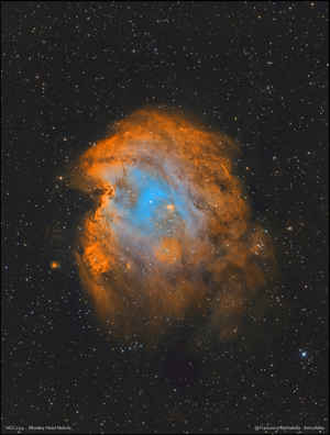 NGC2174 - Nebulosa Testa di Scimmia - Hubble Palette 