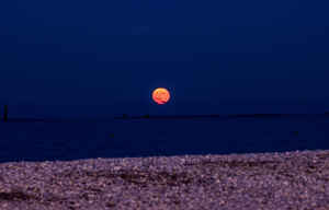 Sorgere della Luna (ultimo contatto con il mare)