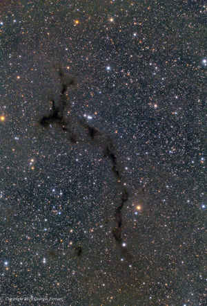 Barnard 150 “The Seahorse Nebula”