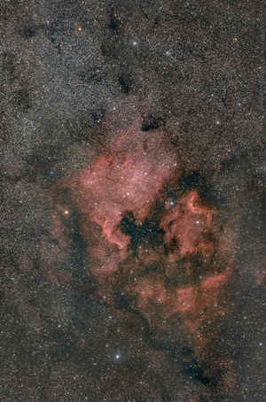 Largo Campo con le Nebulose Nord America e Pellicano (Ngc 7000 & IC 5070) 