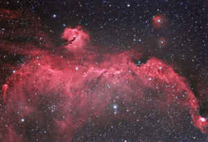 Nebulosa 'Il Gabbiano' IC-2177.Nella costellazioni del Cane Maggiore.
