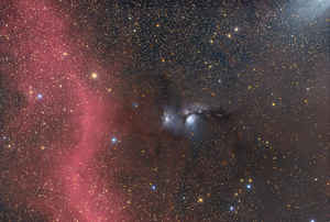 M78 and Barnard's Loop. 