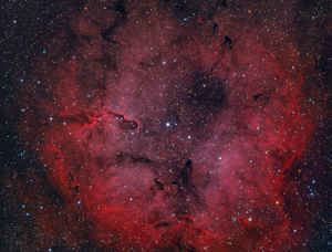 IC1396 in Cepheo