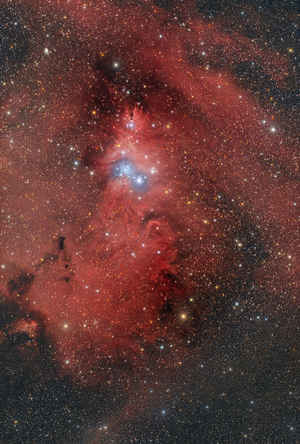 Nebulosa cono NGC2264 - Nebulosa variabile di Hubble NGC2261