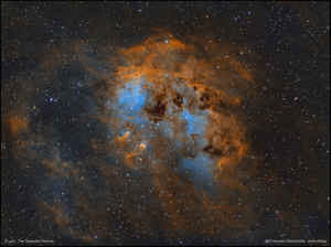 IC410 - Nebulosa Girino - Hubble Palette 