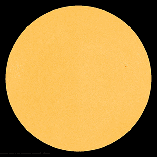 Gruppo di macchie solari 2529