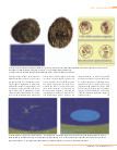 Antiche comete sulle monete celtiche