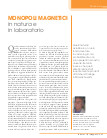 Monopoli magnetici, in natura e in laboratorio